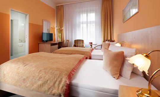 Františkovy Lázně - Lázeňský hotel Goethe - 21