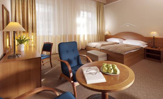 Františkovy Lázně - Lázeňský hotel Dr. Adler - 9