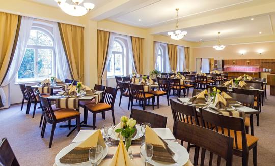 Františkovy Lázně - Lázeňský hotel Dr. Adler - 6