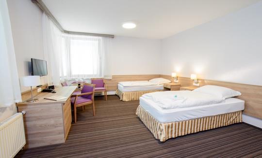 Lázně Bělohrad - Hotel Janeček - 2