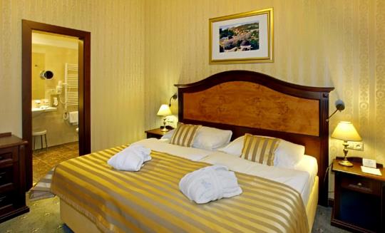 Mariánské Lázně - Hotel Nové Lázně - 9