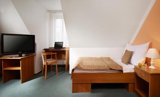 Františkovy Lázně - Lázeňský hotel Belvedere - 14