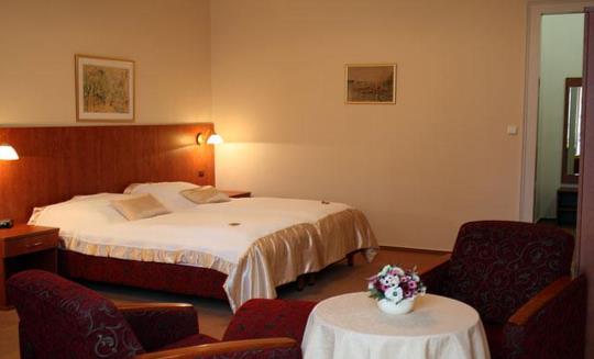 Františkovy Lázně - Lázeňský hotel Pawlik - 19