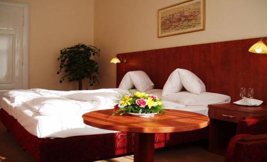 Františkovy Lázně - Lázeňský hotel Pawlik - 20