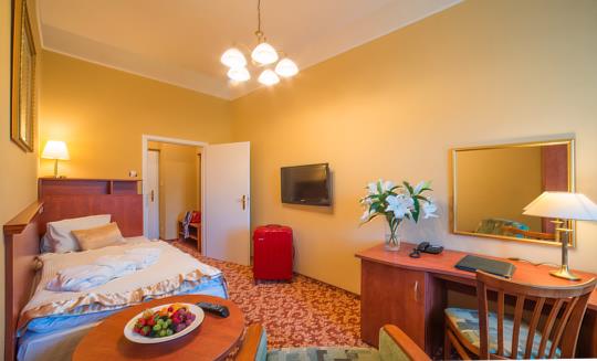 Františkovy Lázně - Lázeňský hotel Pawlik - 15