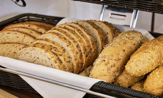 Janské Lázně - Hotel Terra - 16